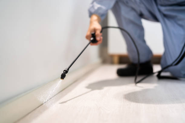 Licensed Termite Control service in North Adams, MA - Nex Pest Control