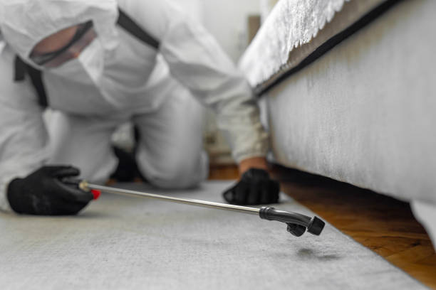 Professional Termite Control technician working in North Adams, MA