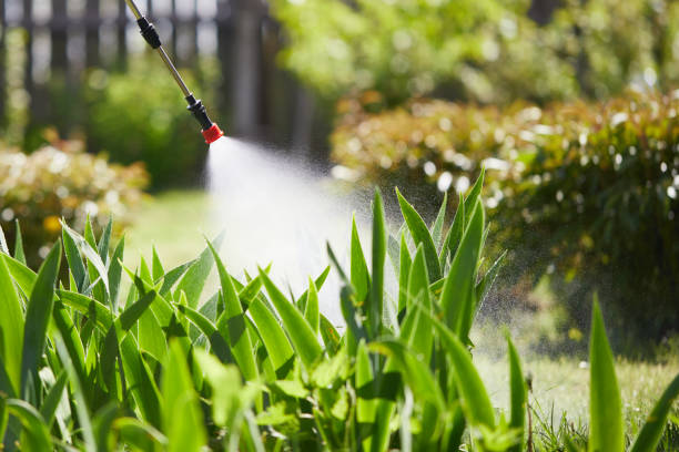 24/7 Emergency Termite Control experts in North Adams, MA
