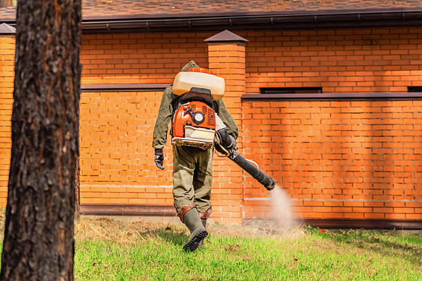 Trusted Rodent Control service in North Adams, MA - Nex Pest Control